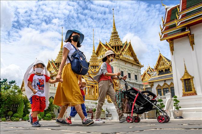 ĐÓA HỒNG PHƯƠNG BẮC THÁI LAN