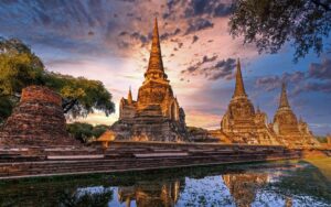 ĐÓA HỒNG PHƯƠNG BẮC THÁI LAN
