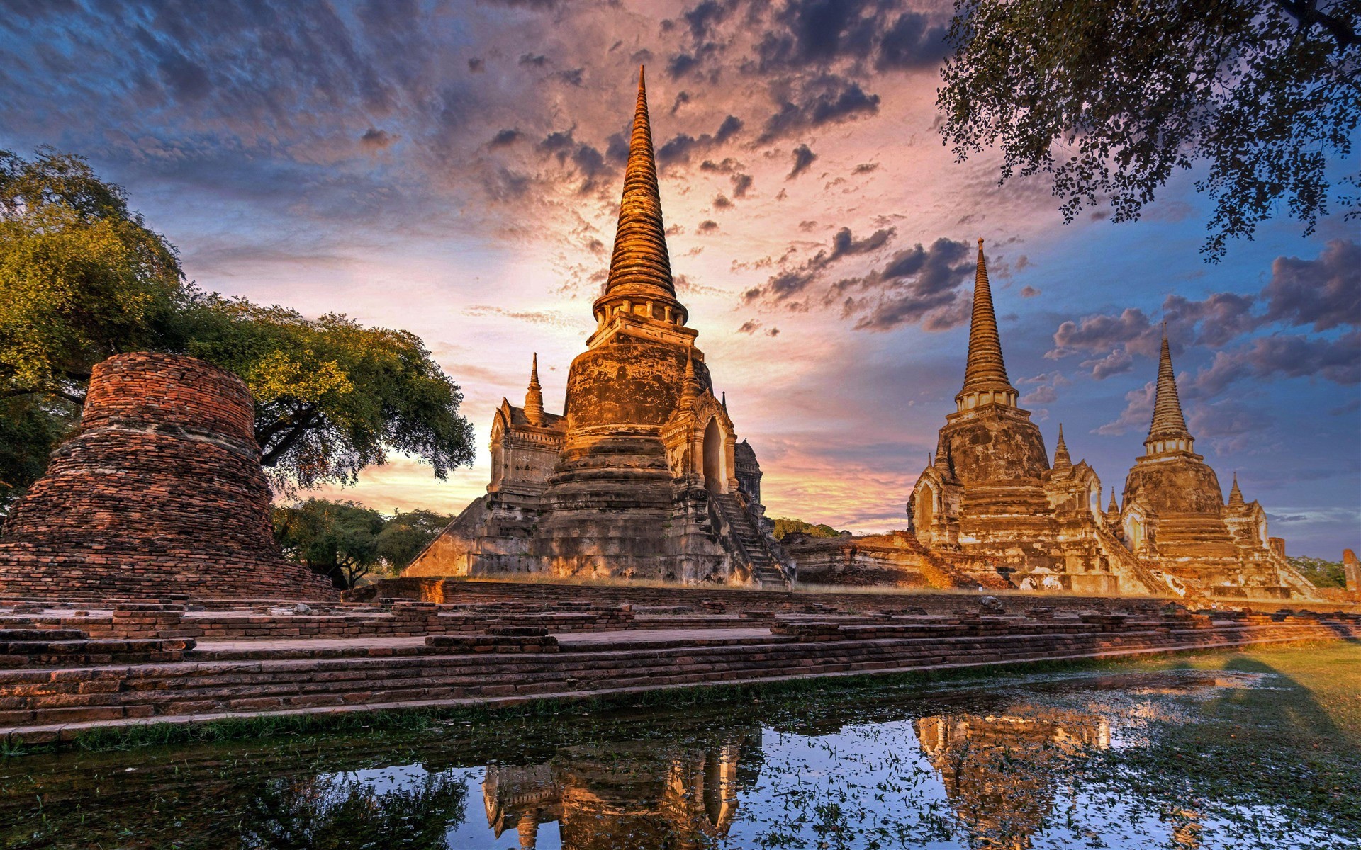 ĐÓA HỒNG PHƯƠNG BẮC THÁI LAN