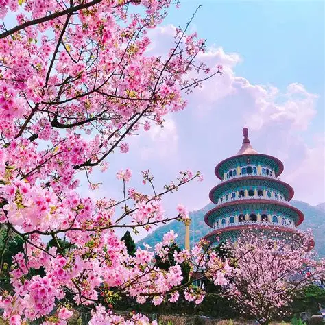 THƯỢNG HẢI – HÀNG CHÂU –  TÔ CHÂU – BẮC KINH